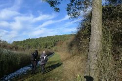 Zingsheim_2025-11-23_at_17.15.59