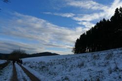 Zingsheim_2025-11-23_at_17.15.59_1