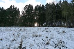 Zingsheim_2025-11-23_at_17.15.59_2