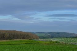 Zingsheim_2025-11-23_at_17.16.00