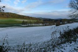 Zingsheim_2025-11-23_at_17.16.00_1