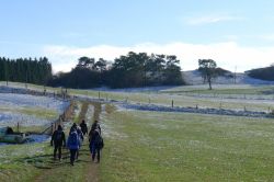 Zingsheim_2025-11-23_at_17.16.01_2