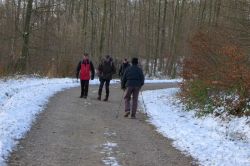 Zingsheim_2025-11-23_at_17.16.02