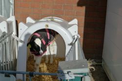 Zingsheim_2025-11-23_at_17.16.03