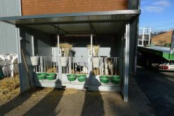 Zingsheim_2025-11-23_at_17.16.03_1