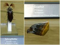 k-Eifelverein_2017-09_Mosel_-_Brigitte-005 k-Eifelverein_2017-09_Mosel_-_Brigitte-005