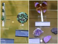 k-Eifelverein_2017-09_Mosel_-_Brigitte-006 k-Eifelverein_2017-09_Mosel_-_Brigitte-006