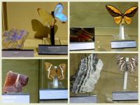 k-Eifelverein_2017-09_Mosel_-_Brigitte2 k-Eifelverein_2017-09_Mosel_-_Brigitte2