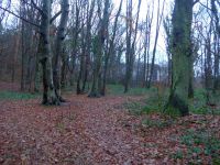 k-P1140485 k-P1140485