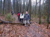 k-P1140488 k-P1140488