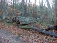 k-P1140496 k-P1140496