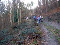 k-P1140498 k-P1140498