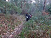 k-P1140503 k-P1140503