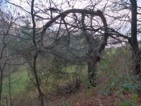 k-P1140504 k-P1140504