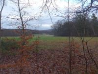 k-P1140509 k-P1140509