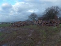 k-P1140540 k-P1140540