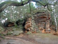 k-P1140558 k-P1140558