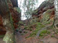 k-P1140559 k-P1140559