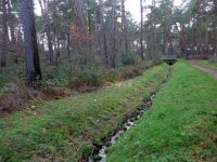 k-P1140594 k-P1140594