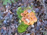 k-P1140609 k-P1140609