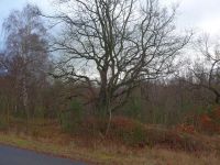 k-P1140621 k-P1140621