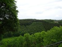 Urftwanderung-1008 Urftwanderung-1008