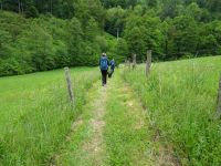 Urftwanderung-1030 Urftwanderung-1030