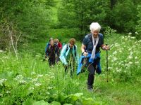 Urftwanderung-1033 Urftwanderung-1033