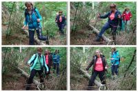 Urftwanderung-1036 Urftwanderung-1036