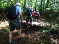 Urftwanderung-2014 Urftwanderung-2014