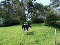 Urftwanderung-2019 Urftwanderung-2019