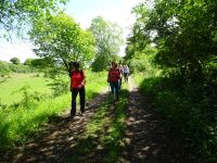 Urftwanderung-2020 Urftwanderung-2020