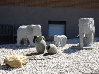 Urftwanderung-2022 Urftwanderung-2022