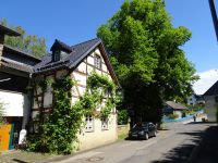 Urftwanderung-2024 Urftwanderung-2024