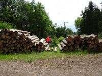 Urftwanderung-2035 Urftwanderung-2035