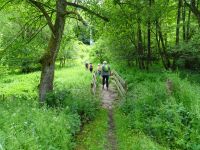 Urftwanderung-2041 Urftwanderung-2041