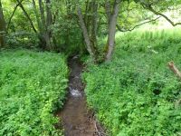 Urftwanderung-2042 Urftwanderung-2042