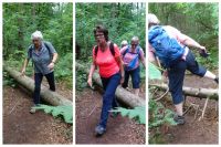 Urftwanderung-2045 Urftwanderung-2045