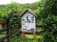 Urftwanderung-2056 Urftwanderung-2056