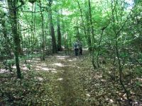 Eschweilerwaldrunde004 Eschweilerwaldrunde004