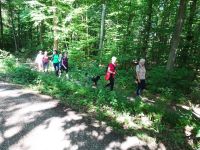 Eschweilerwaldrunde005 Eschweilerwaldrunde005