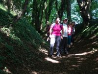 Eschweilerwaldrunde013 Eschweilerwaldrunde013