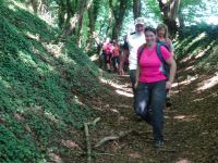 Eschweilerwaldrunde014 Eschweilerwaldrunde014