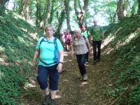 Eschweilerwaldrunde015 Eschweilerwaldrunde015