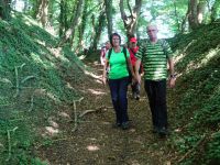 Eschweilerwaldrunde016 Eschweilerwaldrunde016