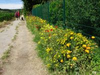 Eschweilerwaldrunde020 Eschweilerwaldrunde020