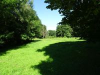 Eschweilerwaldrunde027 Eschweilerwaldrunde027