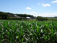 Eschweilerwaldrunde028 Eschweilerwaldrunde028