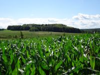 Eschweilerwaldrunde029 Eschweilerwaldrunde029