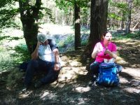 Eschweilerwaldrunde034 Eschweilerwaldrunde034